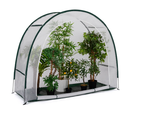 Serre d'hivernage demi lune 200 x 80 x 170 cm