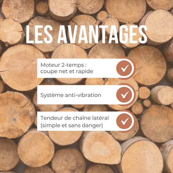 Tronçonneuse à essence STIHL MS162 30.1cm³